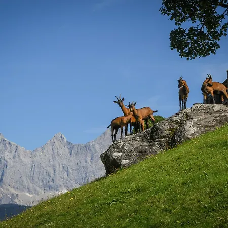 Lantgård Strickhof Schladming