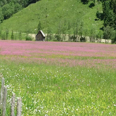 Feriegård Strickhof