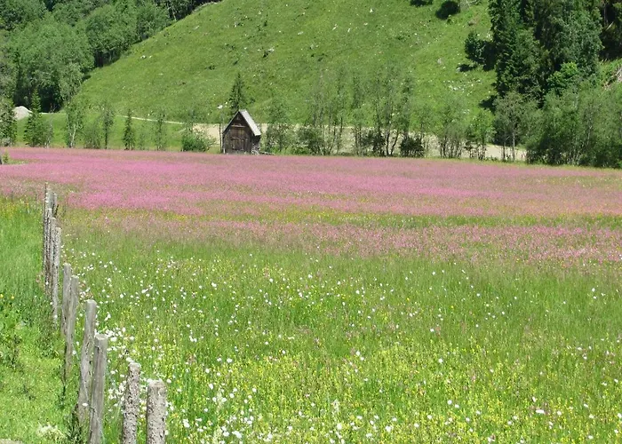 Alloggio per agriturismo Strickhof